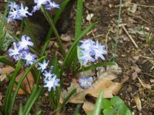 Enlarge photo 11
