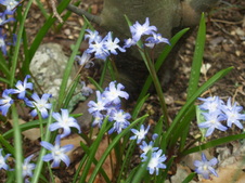 Enlarge photo 12