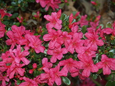 Enlarge photo 37