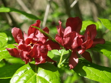Enlarge photo 39
