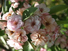 Enlarge photo 40