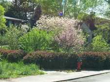 Enlarge photo 41