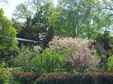 Enlarge photo 42