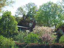 Enlarge photo 43