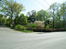 Enlarge photo 44