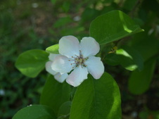 Enlarge photo 45