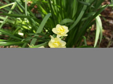 Enlarge photo 88