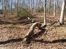 Enlarge photo 16