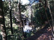 Enlarge photo 18
