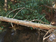 Enlarge photo 21