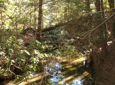 Enlarge photo 22