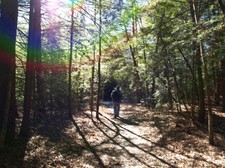 Enlarge photo 23