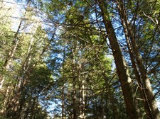 Enlarge photo 24