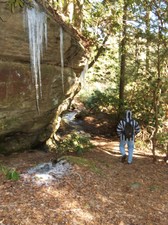 Enlarge photo 25