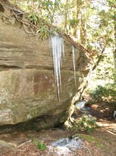 Enlarge photo 26