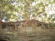 Enlarge photo 27
