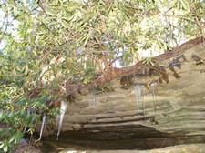 Enlarge photo 28