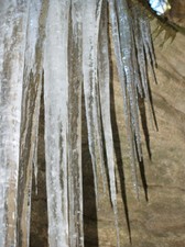 Enlarge photo 30