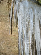 Enlarge photo 31