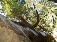 Enlarge photo 33