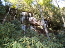 Enlarge photo 35