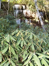 Enlarge photo 36