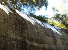 Enlarge photo 37