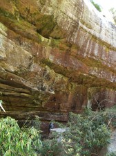 Enlarge photo 38