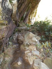 Enlarge photo 39