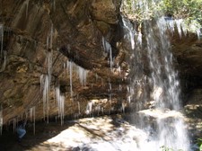 Enlarge photo 41