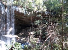 Enlarge photo 42