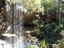 Enlarge photo 43