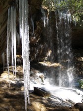 Enlarge photo 44