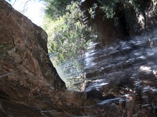 Enlarge photo 46