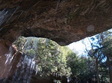 Enlarge photo 51