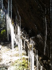 Enlarge photo 55