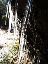 Enlarge photo 56