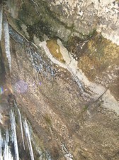 Enlarge photo 59