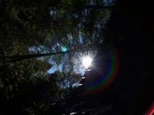 Enlarge photo 63