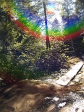 Enlarge photo 66