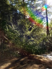 Enlarge photo 67