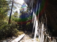 Enlarge photo 68