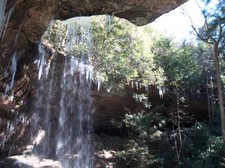 Enlarge photo 71
