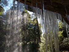Enlarge photo 75
