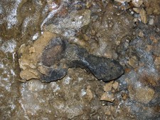 Enlarge photo 77