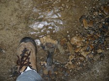 Enlarge photo 78