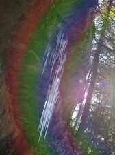 Enlarge photo 80