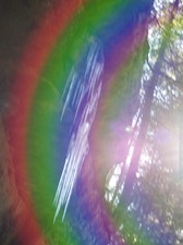 Enlarge photo 81