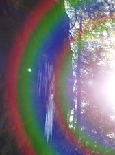 Enlarge photo 82