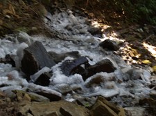 Enlarge photo 86